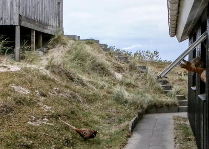 Holiday home Hansina - 500m From The Sea By Interhome *